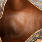 Handbag Papillon 30 Brown Monogram Canvas