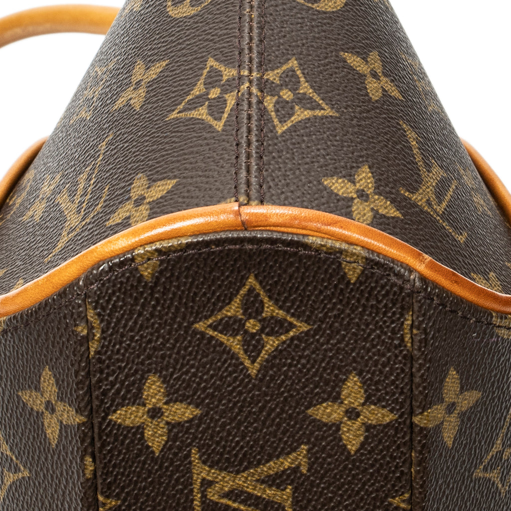 Handbag Ellipse PM Brown Monogram Canvas