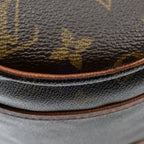 Handbag Papillon 30 Brown Monogram Canvas