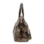 Shoulder Bag Trevi PM Brown Damier Ebene