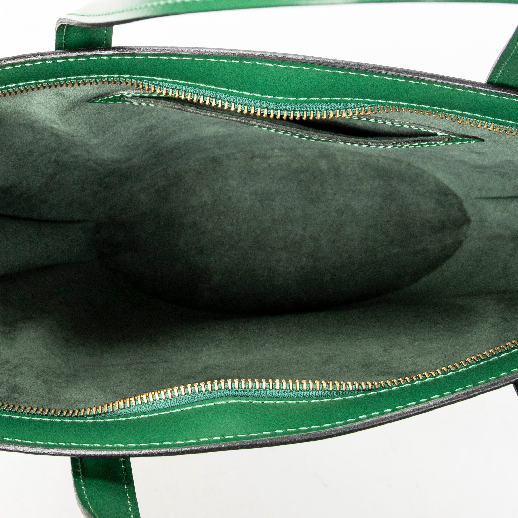 Handbag St-Jacques PM Green Epi
