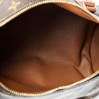 Handbag Papillon 30 Brown Monogram Canvas