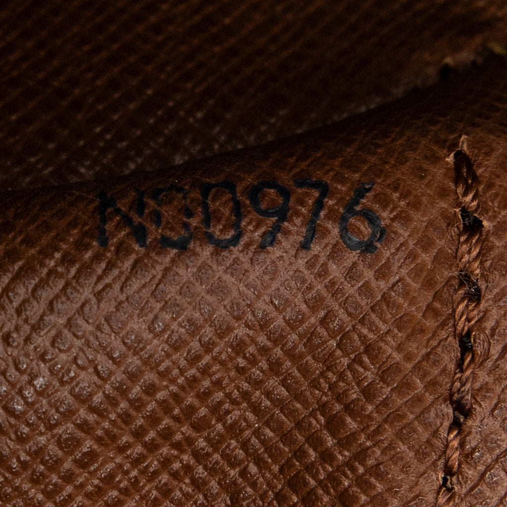 Handbag Papillon 30 Brown Monogram Canvas