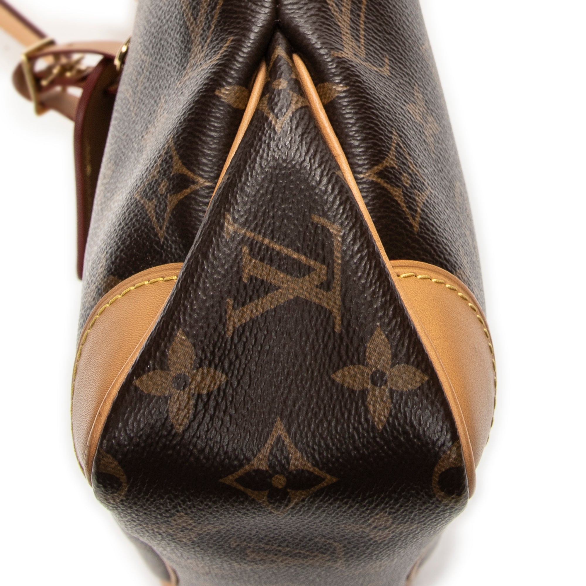 Shoulder Bag Odeon PM Brown Monogram Canvas