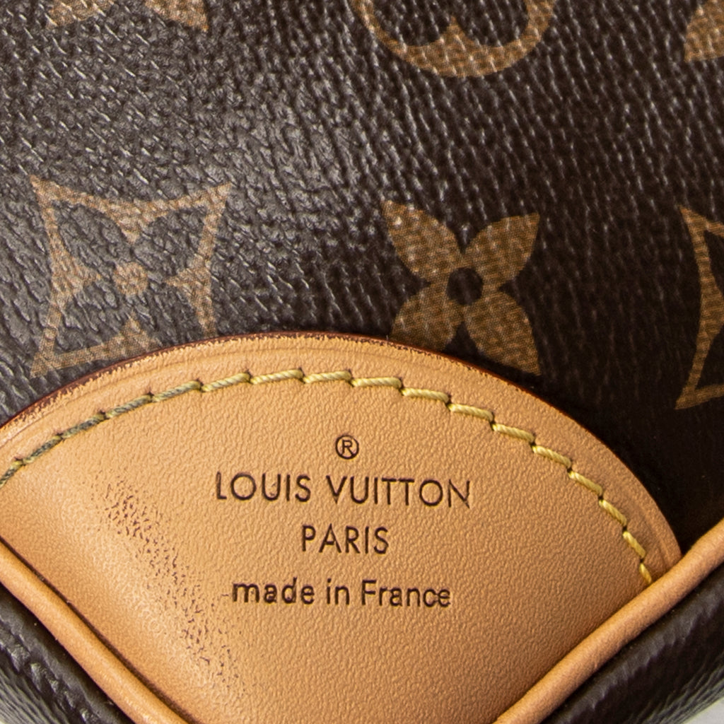 Shoulder Bag Odeon PM Brown Monogram Canvas
