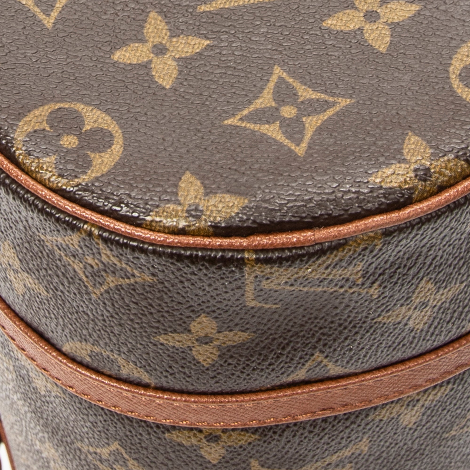 Handbag Papillon 26 Brown Monogram Canvas