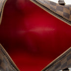 Handbag Papillon 30 Brown Damier Ebene