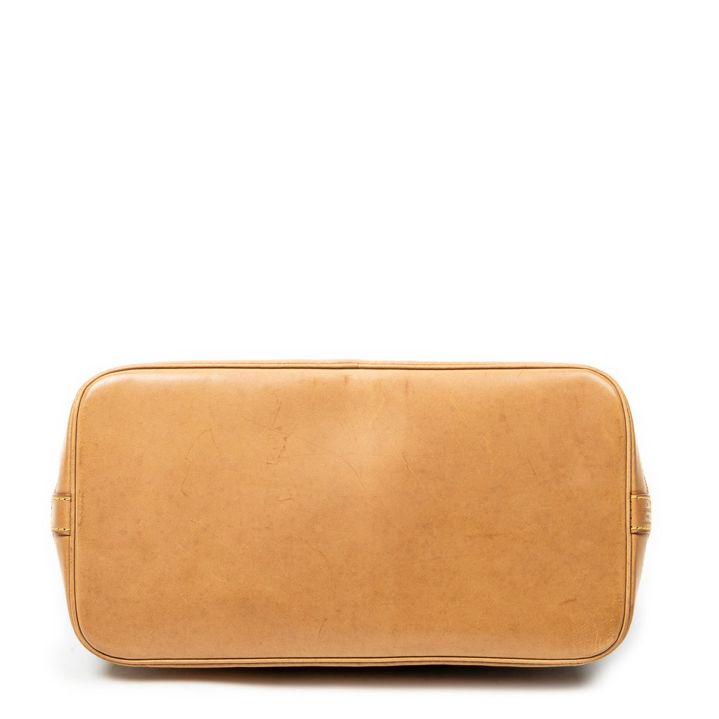Handbag Alma PM Brown Monogram Canvas