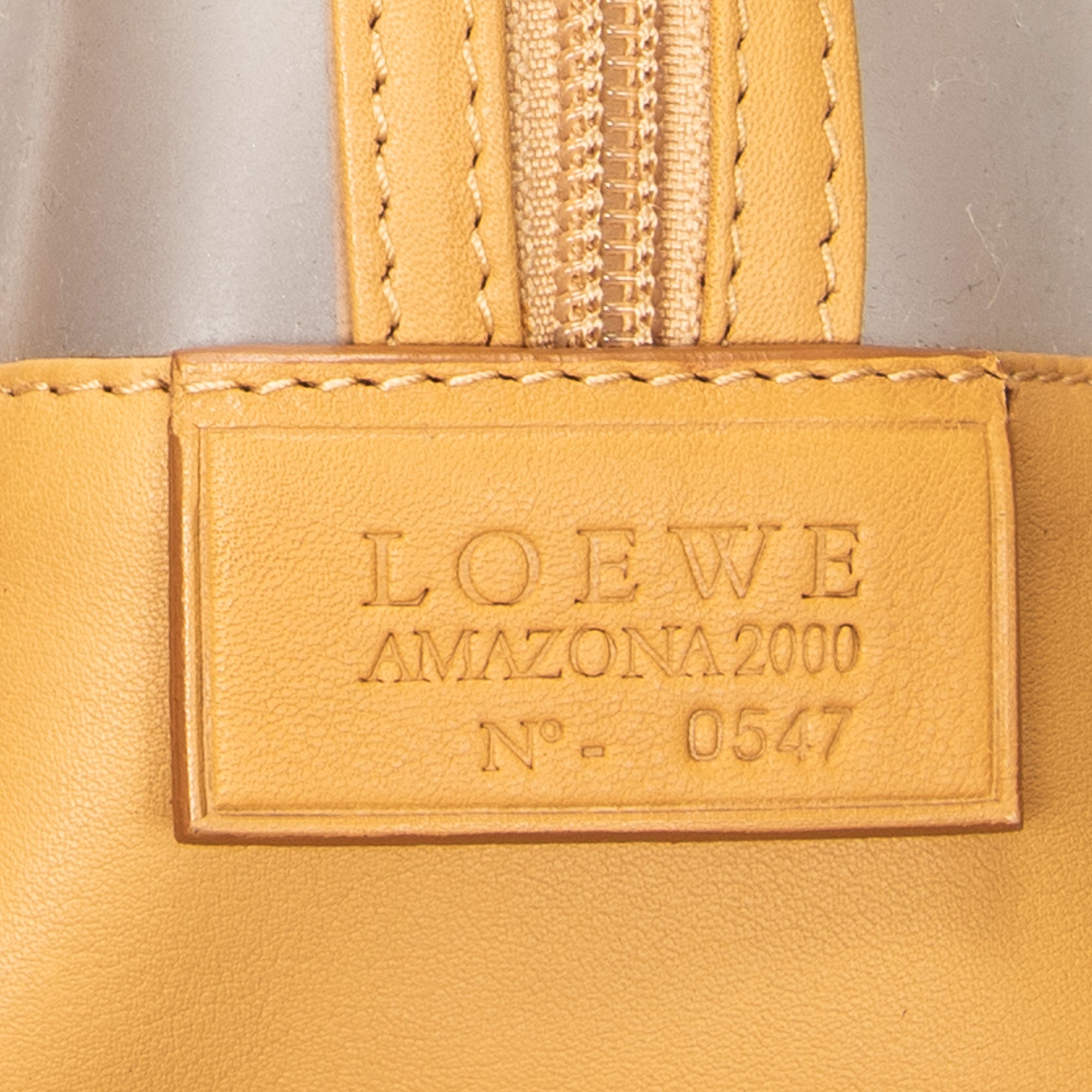 Handbag Vintage Transparent Amazona Tan Vinyl Canvas