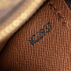 Handbag Papillon 26 Brown Monogram Canvas