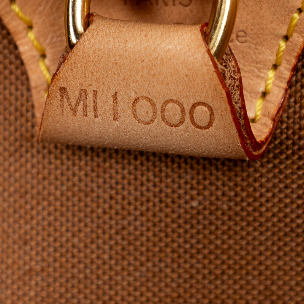 Handbag Ellipse MM Brown Monogram Canvas