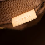 Handbag Alma PM Brown Monogram Canvas