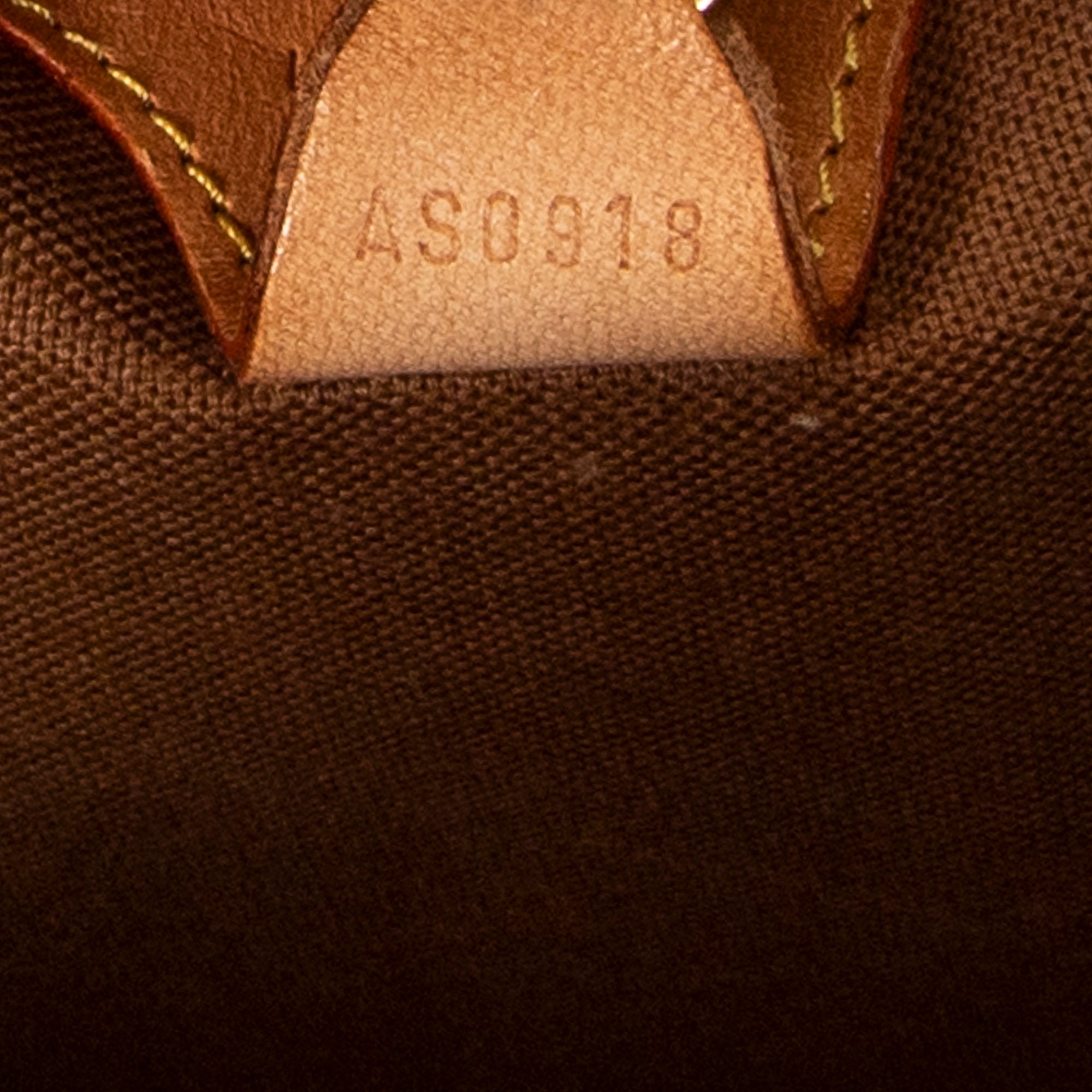Handbag Ellipse MM Brown Monogram Canvas