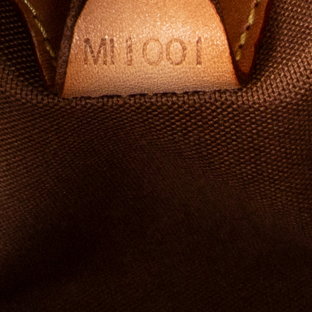 Handbag Ellipse PM Brown Monogram Canvas