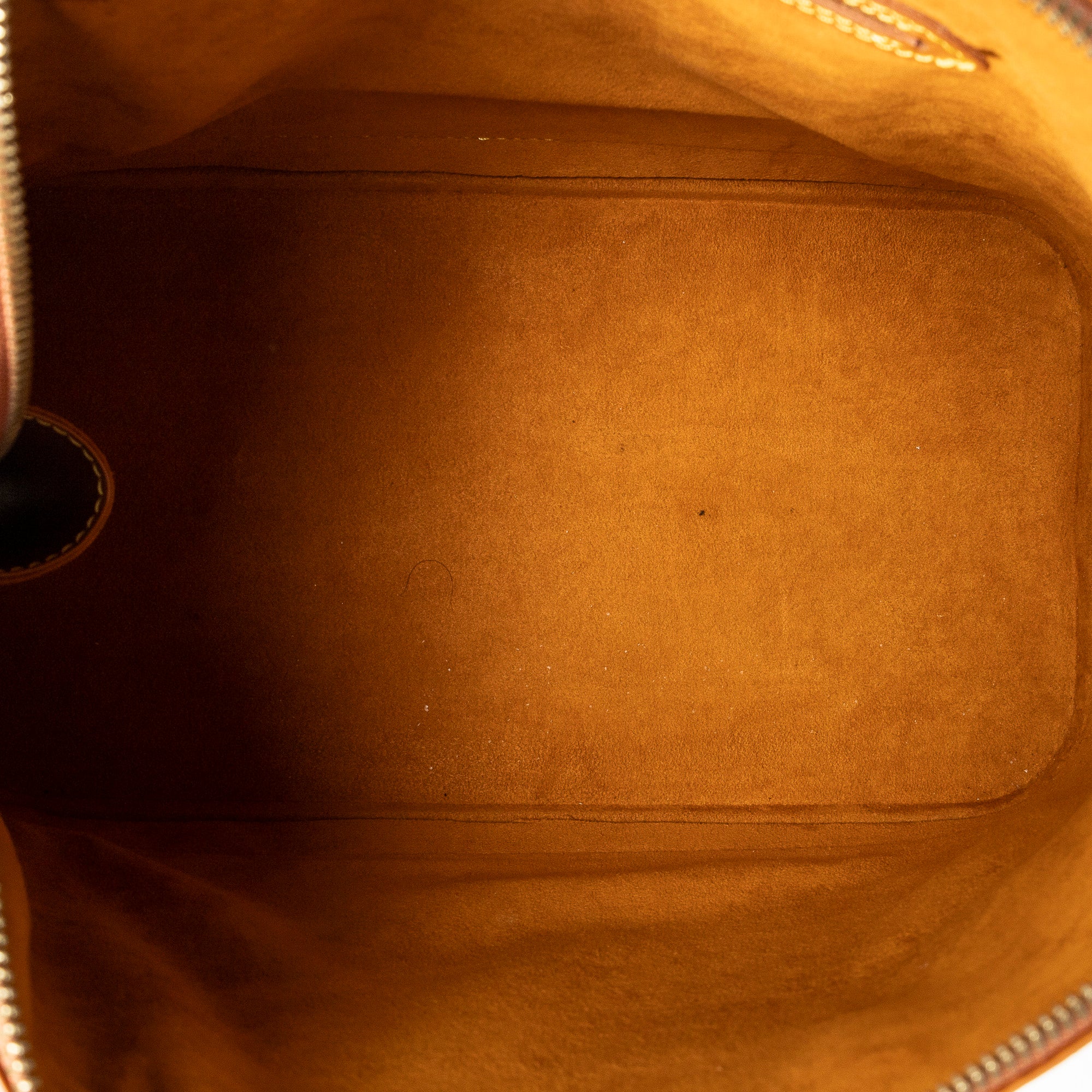 Handbag Alma PM Gold Epi