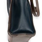 Shoulder Bag Nano Luggage Brown Calfskin Leather