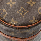 Handbag Papillon 26 Brown Monogram Canvas