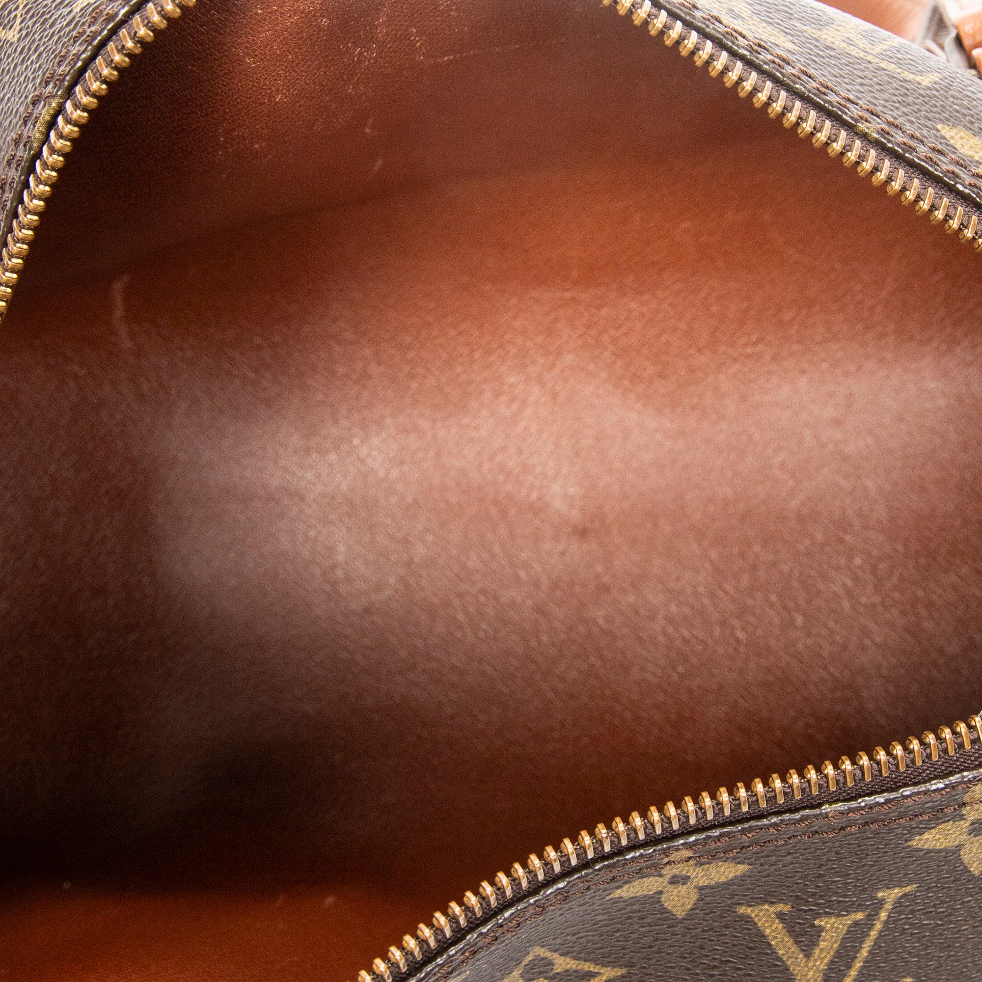 Handbag Papillon 30 Brown Monogram Canvas