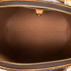 Handbag Ellipse MM Brown Monogram Canvas