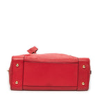 Handbag Amazona 36 Red Grained Calfskin Leather