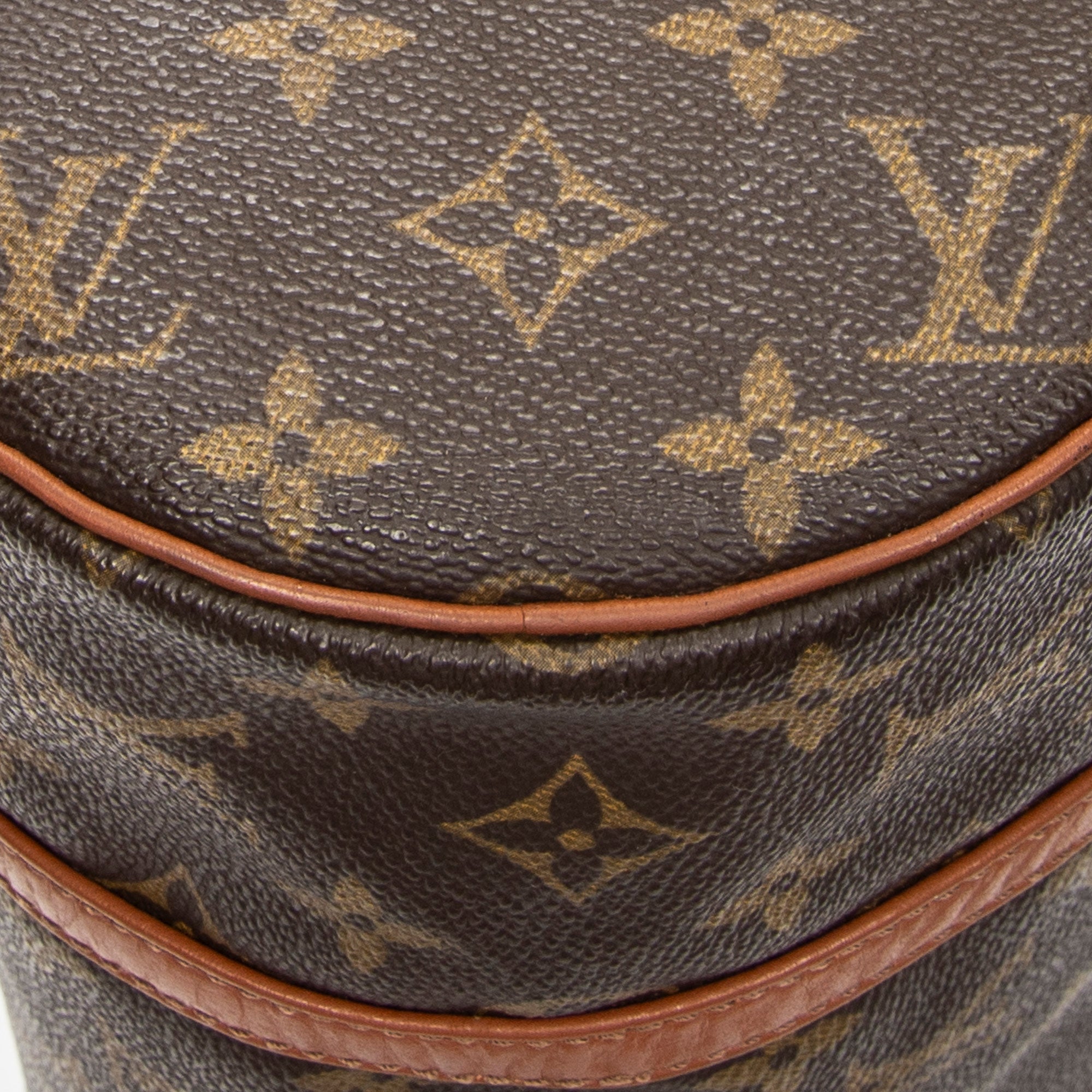 Handbag Papillon 30 Brown Monogram Canvas