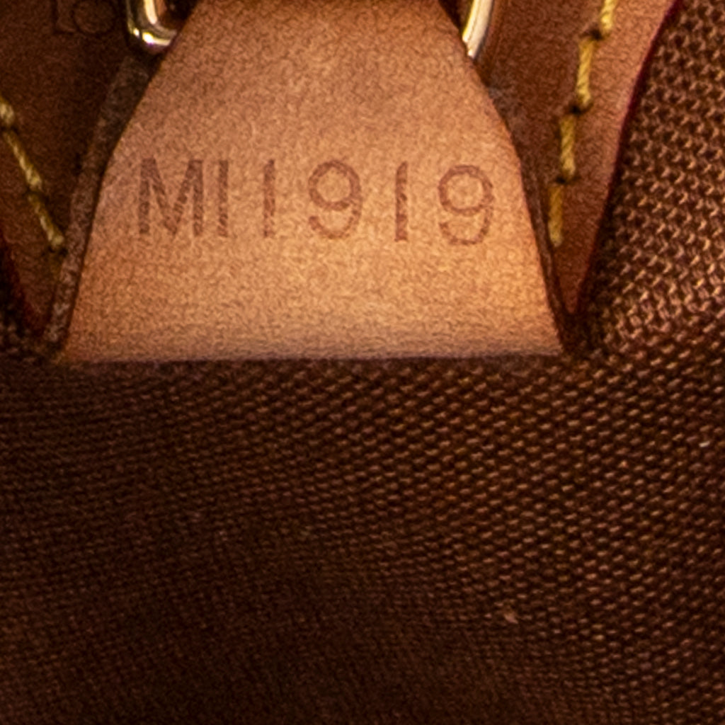 Handbag Ellipse PM Brown Monogram Canvas