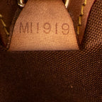 Handbag Ellipse PM Brown Monogram Canvas