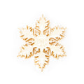 Brooch CC Snowflake Brooch White Gold Plated