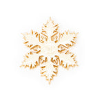 Brooch CC Snowflake Brooch White Gold Plated
