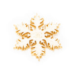 Brooch CC Snowflake Brooch White Gold Plated