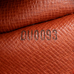 Handbag Papillon 26 Brown Damier Ebene