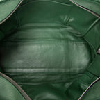 Handbag Amazona 36 Green Grained Calfskin Leather