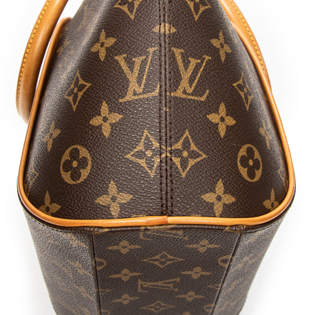 Handbag Ellipse MM Brown Monogram Canvas