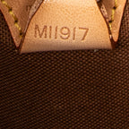 Handbag Ellipse MM Brown Monogram Canvas