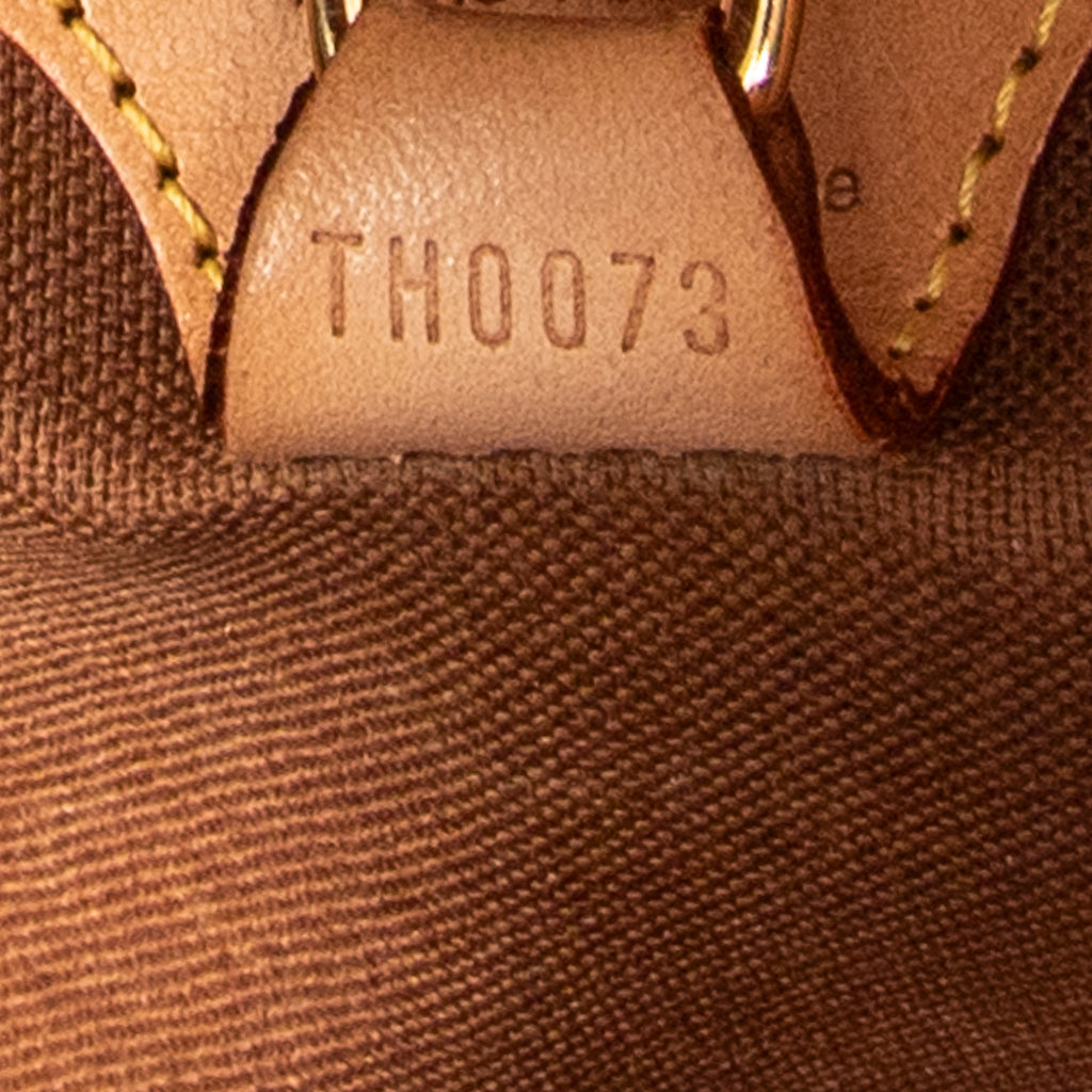 Handbag Ellipse PM Brown Monogram Canvas