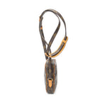 Shoulder Bag Mini Amazone Brown Monogram Canvas
