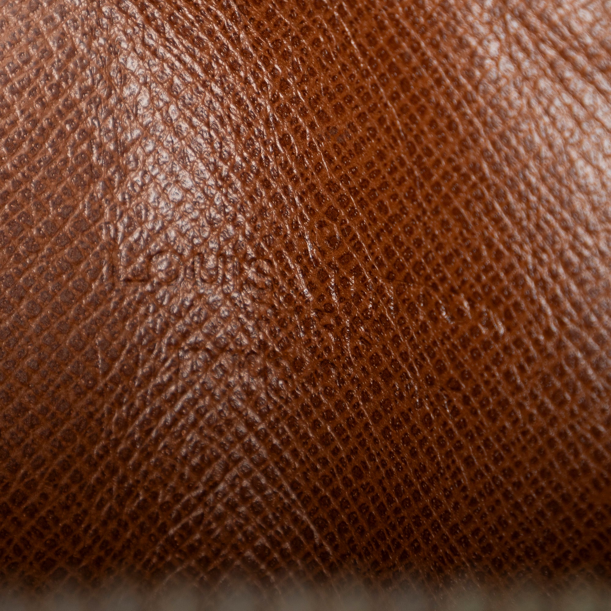Shoulder Bag Mini Amazone Brown Monogram Canvas