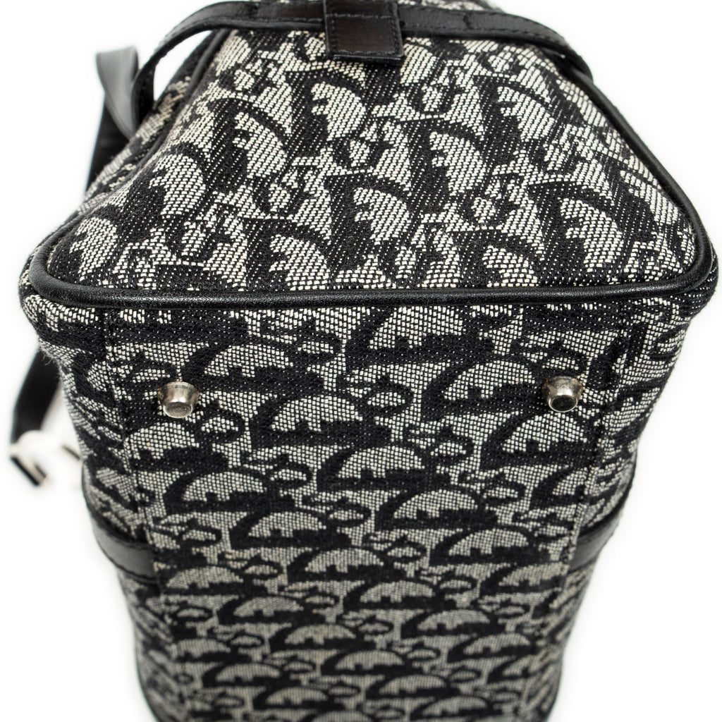 Shoulder Bag D Charm Trotter Boston Grey Diorissimo Canvas