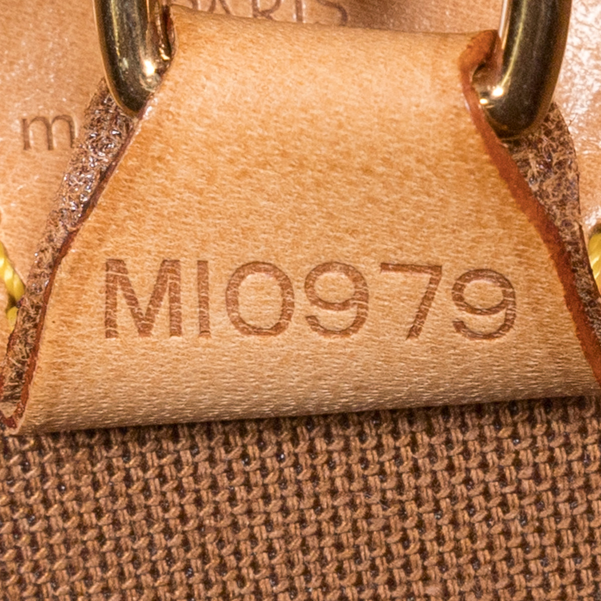 Bolso de mano Ellipse MM Lona Monogram Marrón