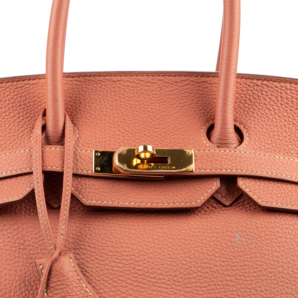 Handbag Birkin 35 Crevette Togo Leather