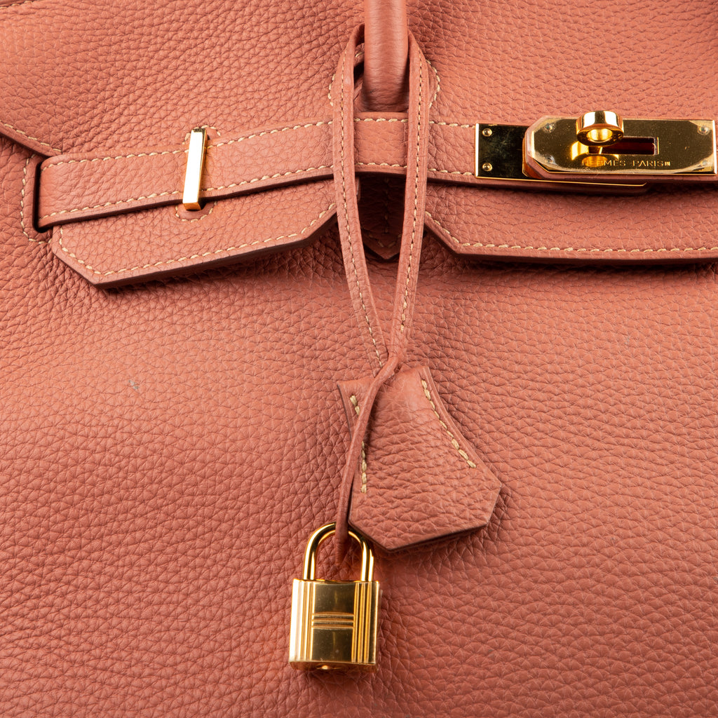 Handbag Birkin 35 Crevette Togo Leather