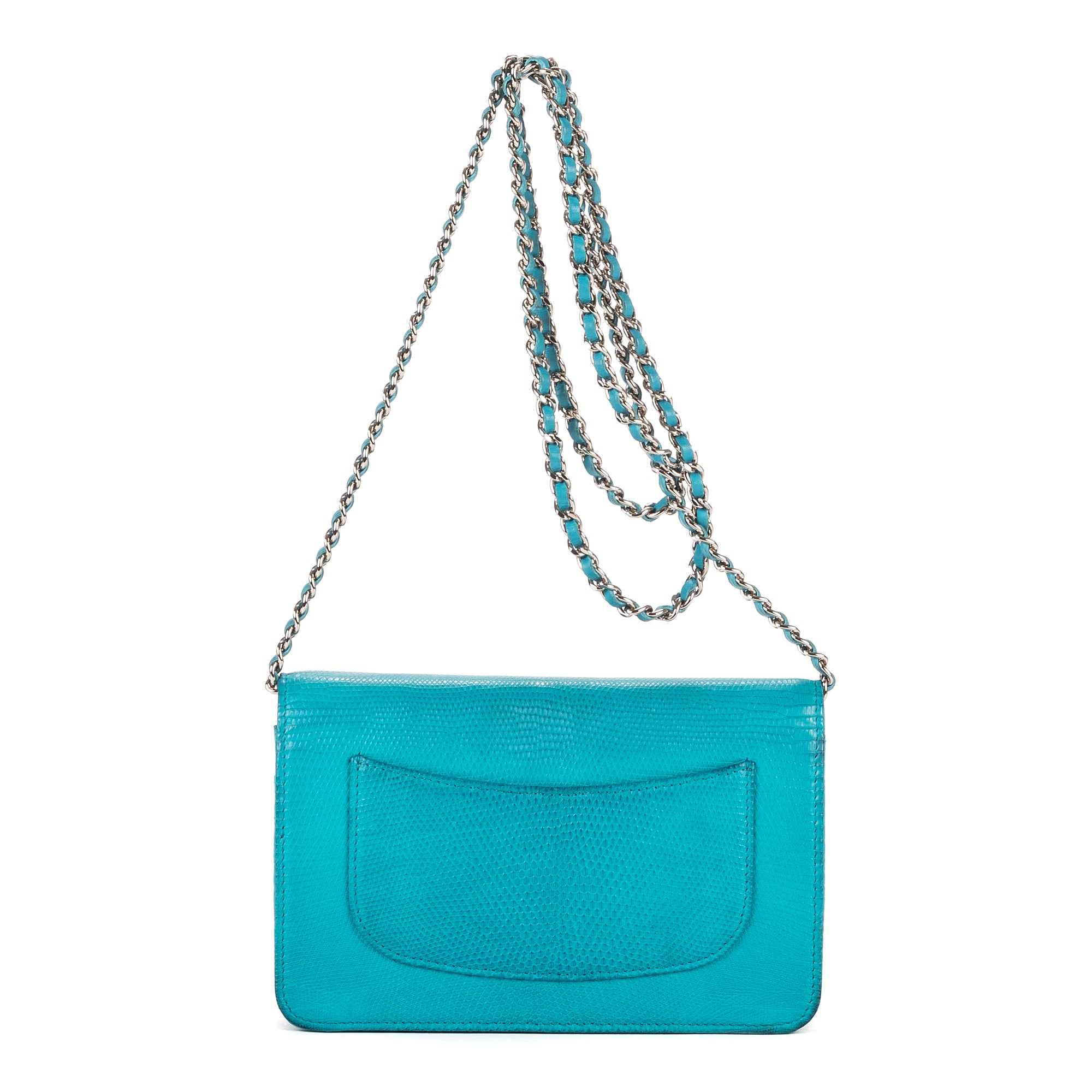 Shoulder Bag Timeless Wallet on Chain Blue Python Skin Leather