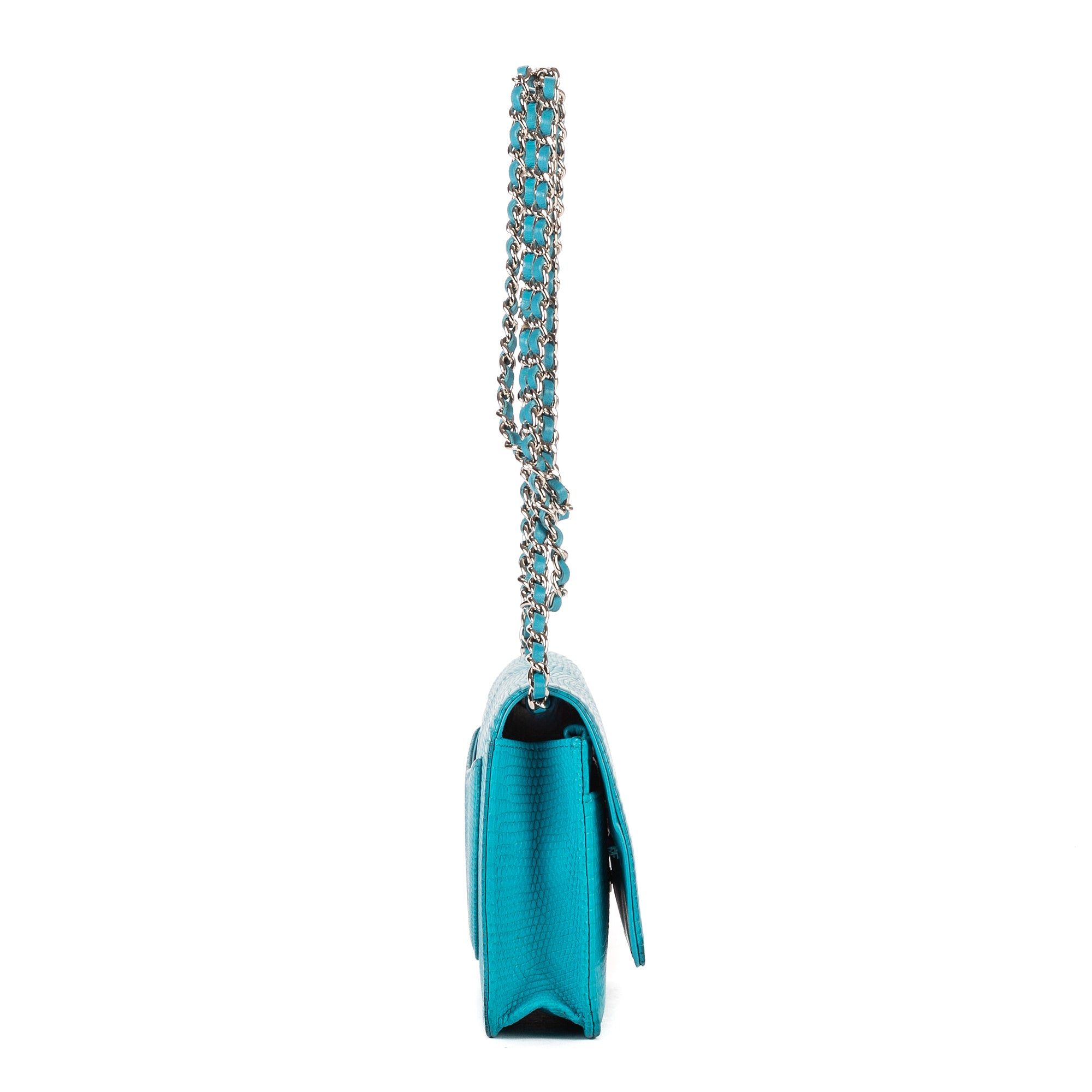 Shoulder Bag Timeless Wallet on Chain Blue Python Skin Leather