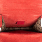 Bolso de Hombro Dionysus Mini Lona Revestida Supreme Beige/Piel Ante
