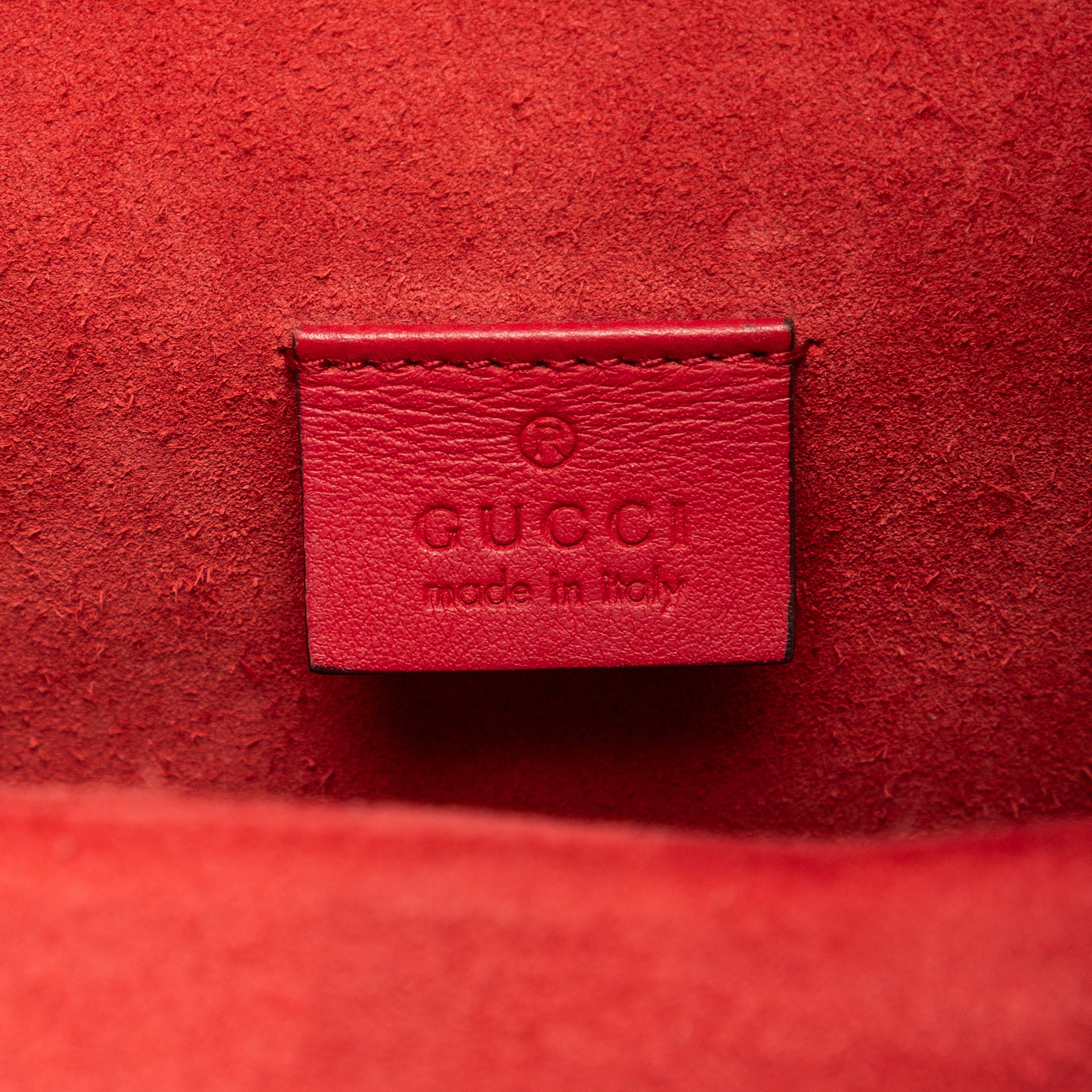 Bolso de Hombro Dionysus Mini Lona Revestida Supreme Beige/Piel Ante