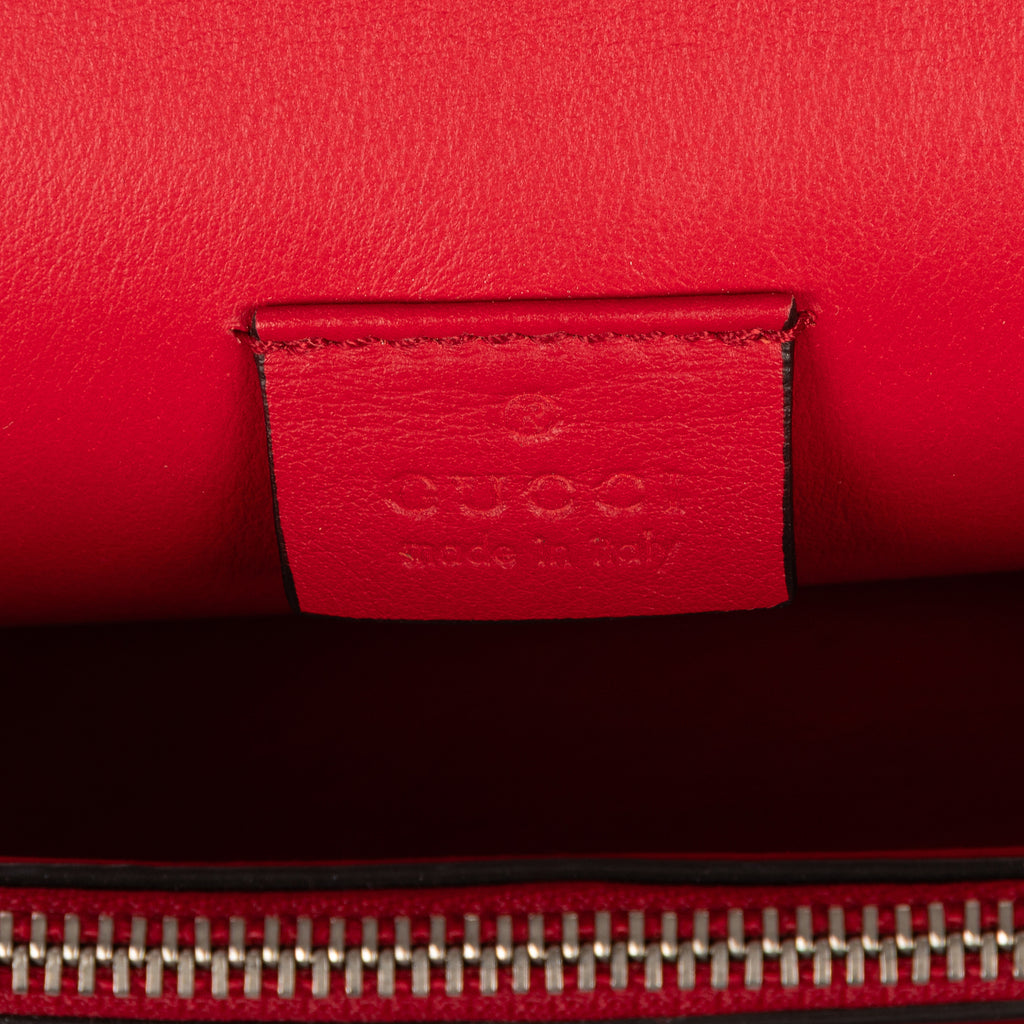 Shoulder Bag Medium Dionysus Chain Crossbody Medium Red Suede Leather