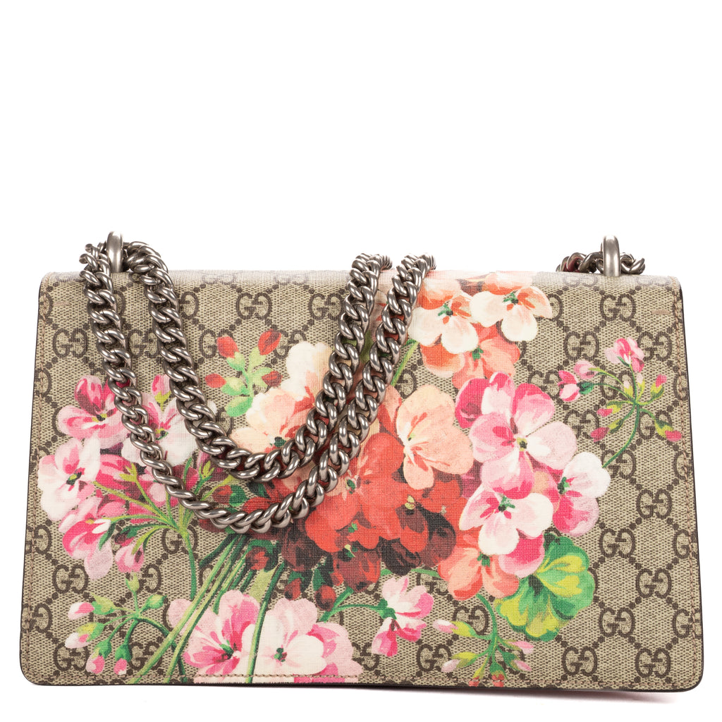 Shoulder Bag Small Dionysus Chain Crossbody Small Beige Supreme Coated Canvas