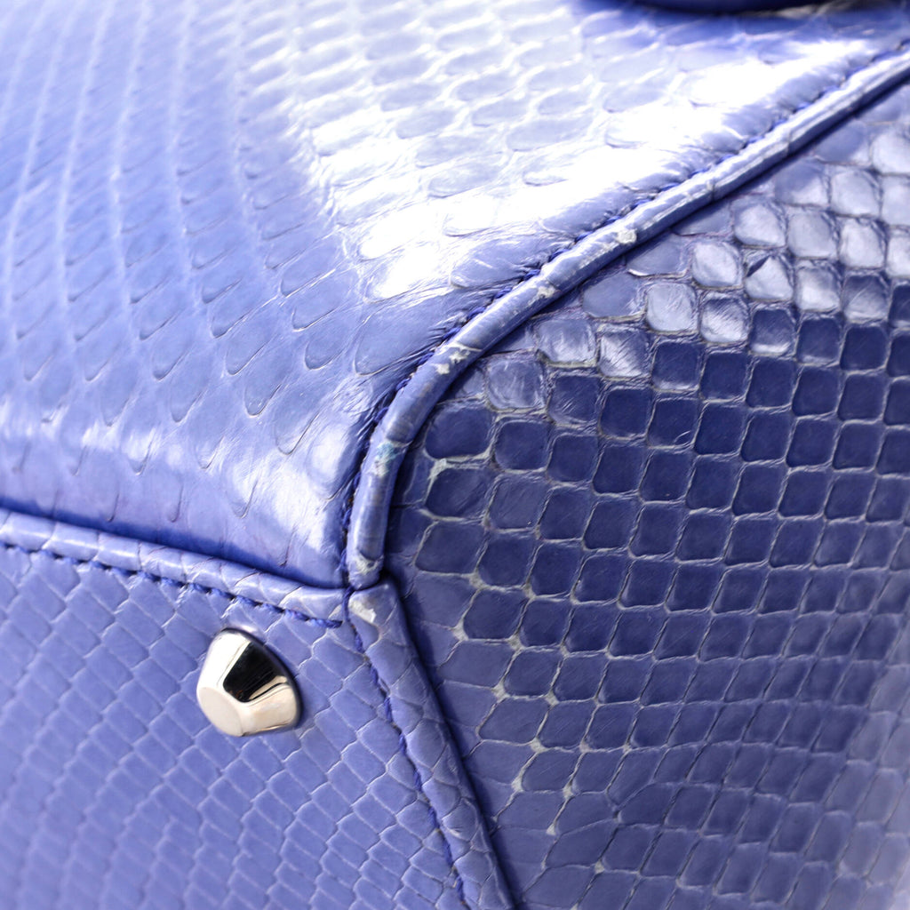 Shoulder Bag Lady Dior Chain Mini Blue Python Skin Leather