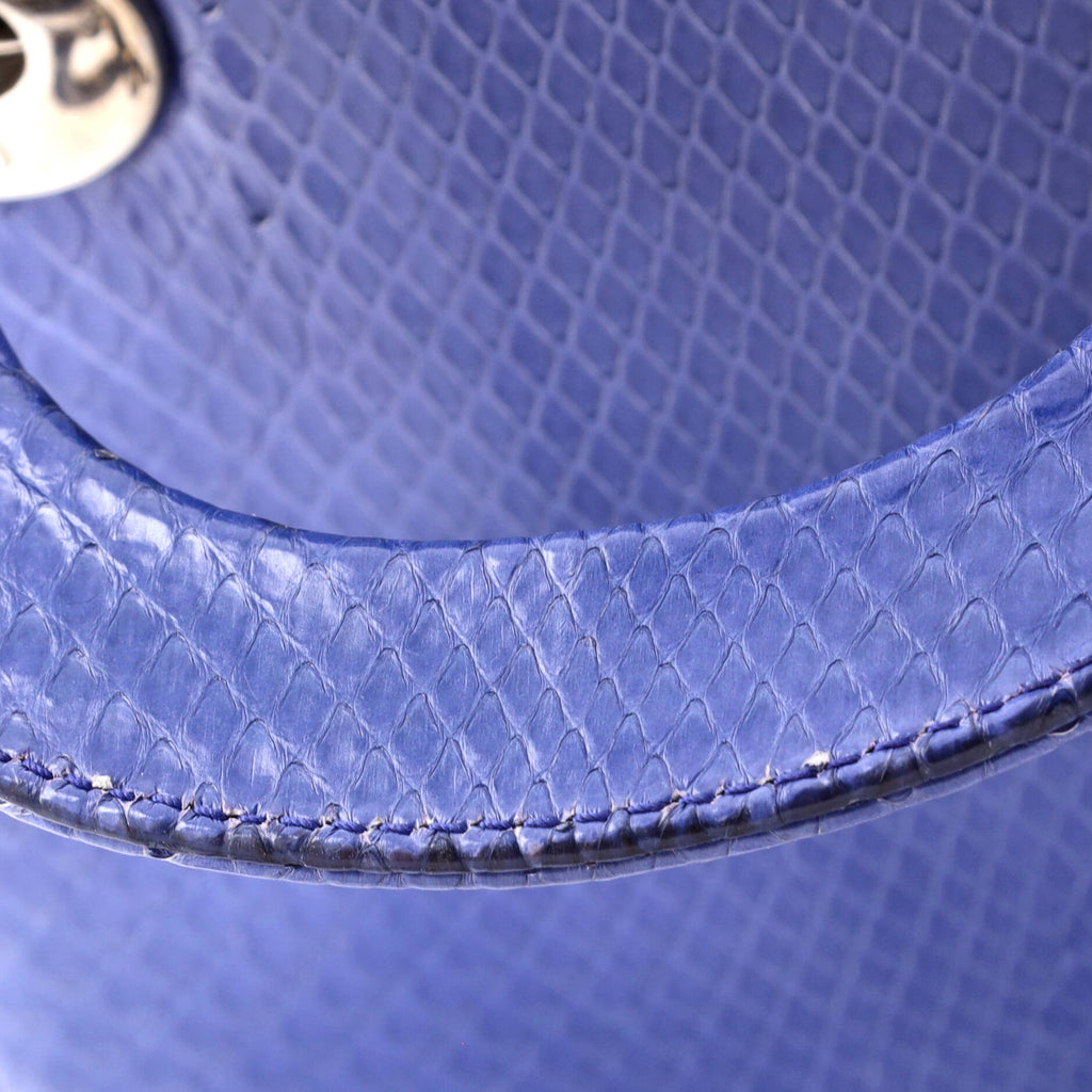 Shoulder Bag Lady Dior Chain Mini Blue Python Skin Leather
