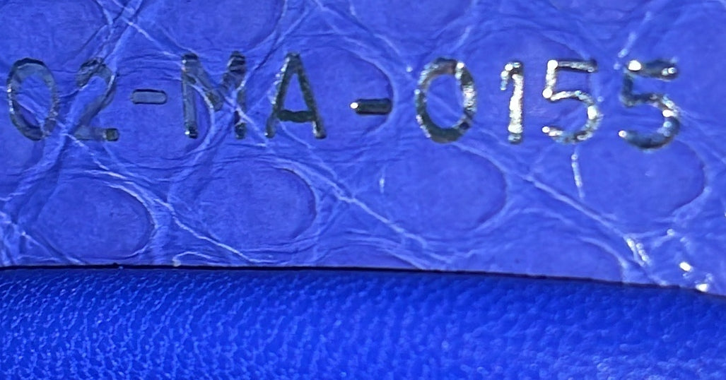 Shoulder Bag Lady Dior Chain Mini Blue Python Skin Leather